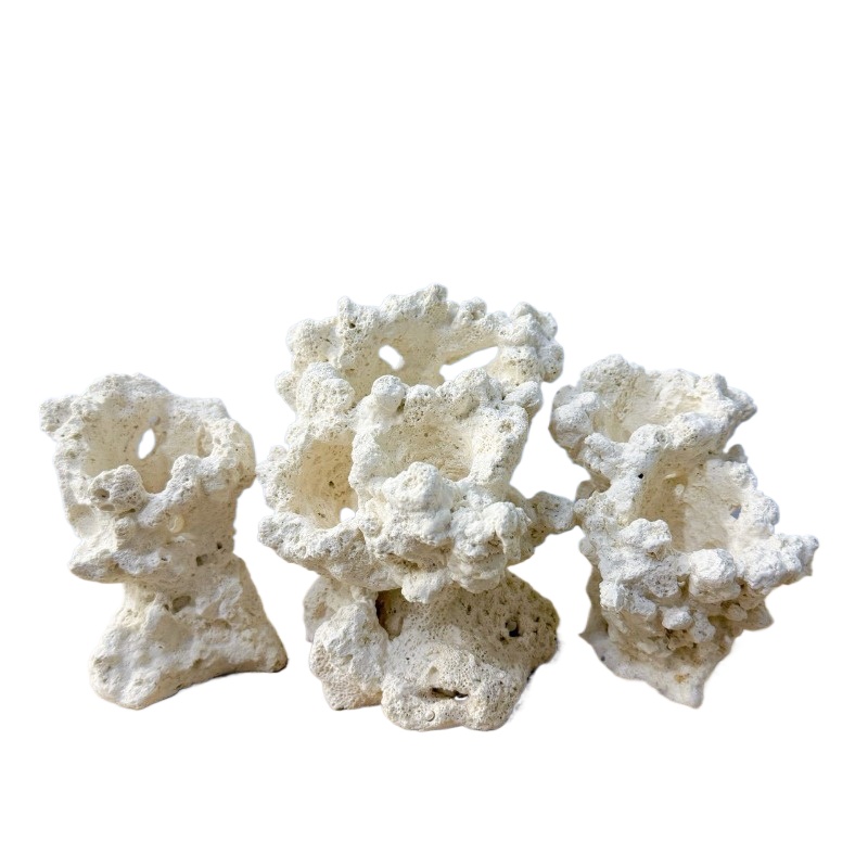 Hide Cave Ceramic - Artificial Ceramic Anemone Rock Base Fish