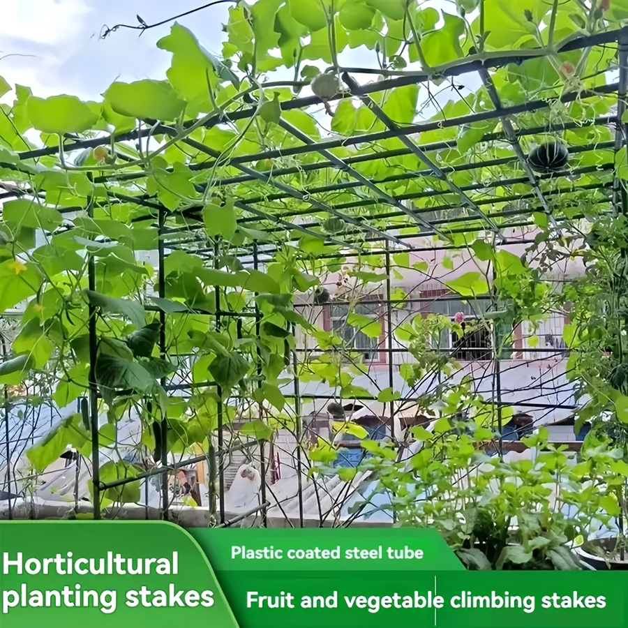 Pop Rustproof Vegetable Climbi - Vine Climbing Plastic ulasan dan harga