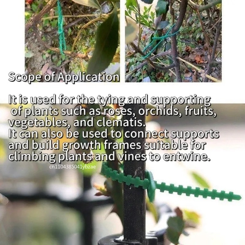 50-1000pcs Adjustable Plastic  - Vine Climbing Plastic ulasan dan harga