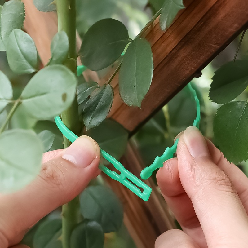 Wholesale Reusable Plant Fixed - Vine Climbing Plastic ulasan dan harga