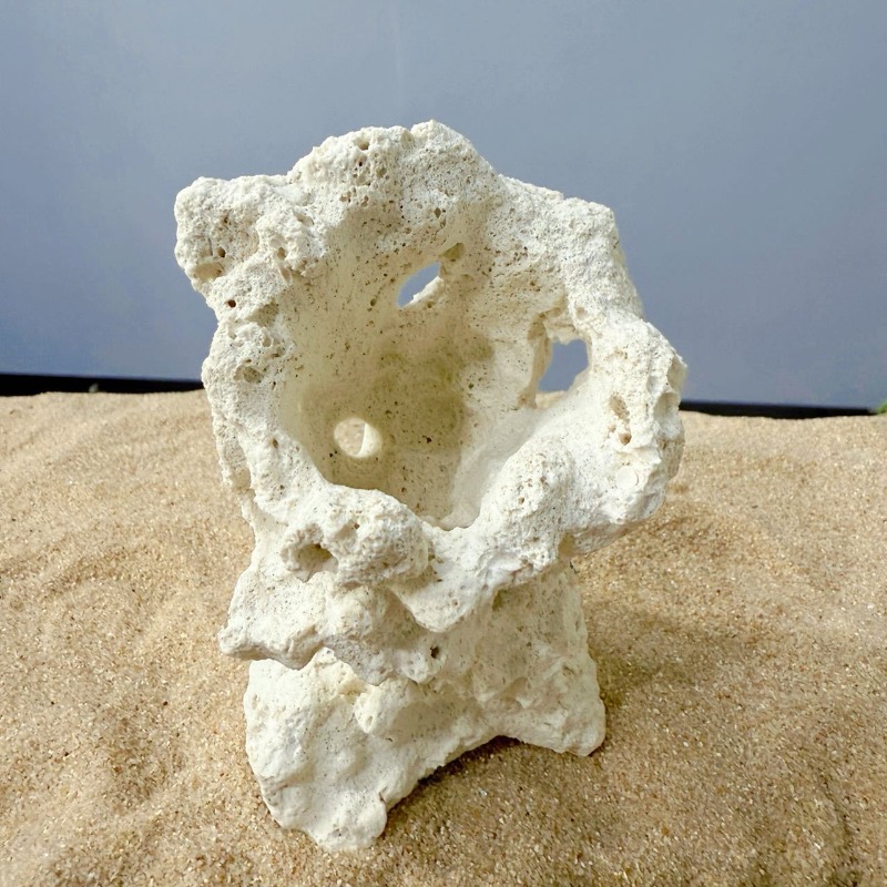 Artificial Ceramic Anemone Roc - Hide Cave Ceramic ulasan dan harga