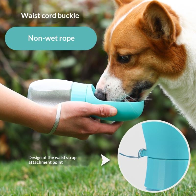Big Dog Water Bottle Portable  - Royal Canin Food Medium ulasan dan harga