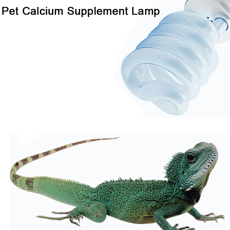 E27 13W/26W Reptile Uvb Lamp   - Calcium Powder Reptile ulasan dan harga