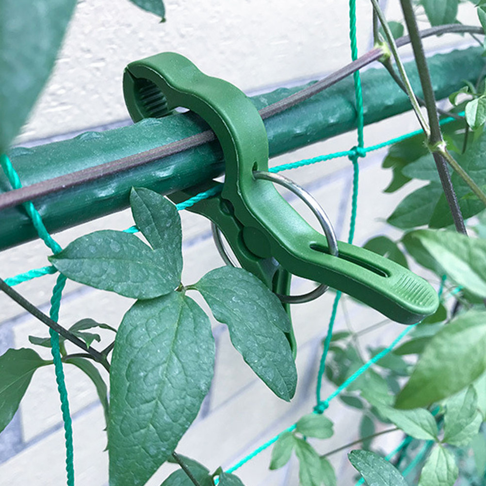 60Pcs Garden Plant Clips Plast - Vine Climbing Plastic ulasan dan harga
