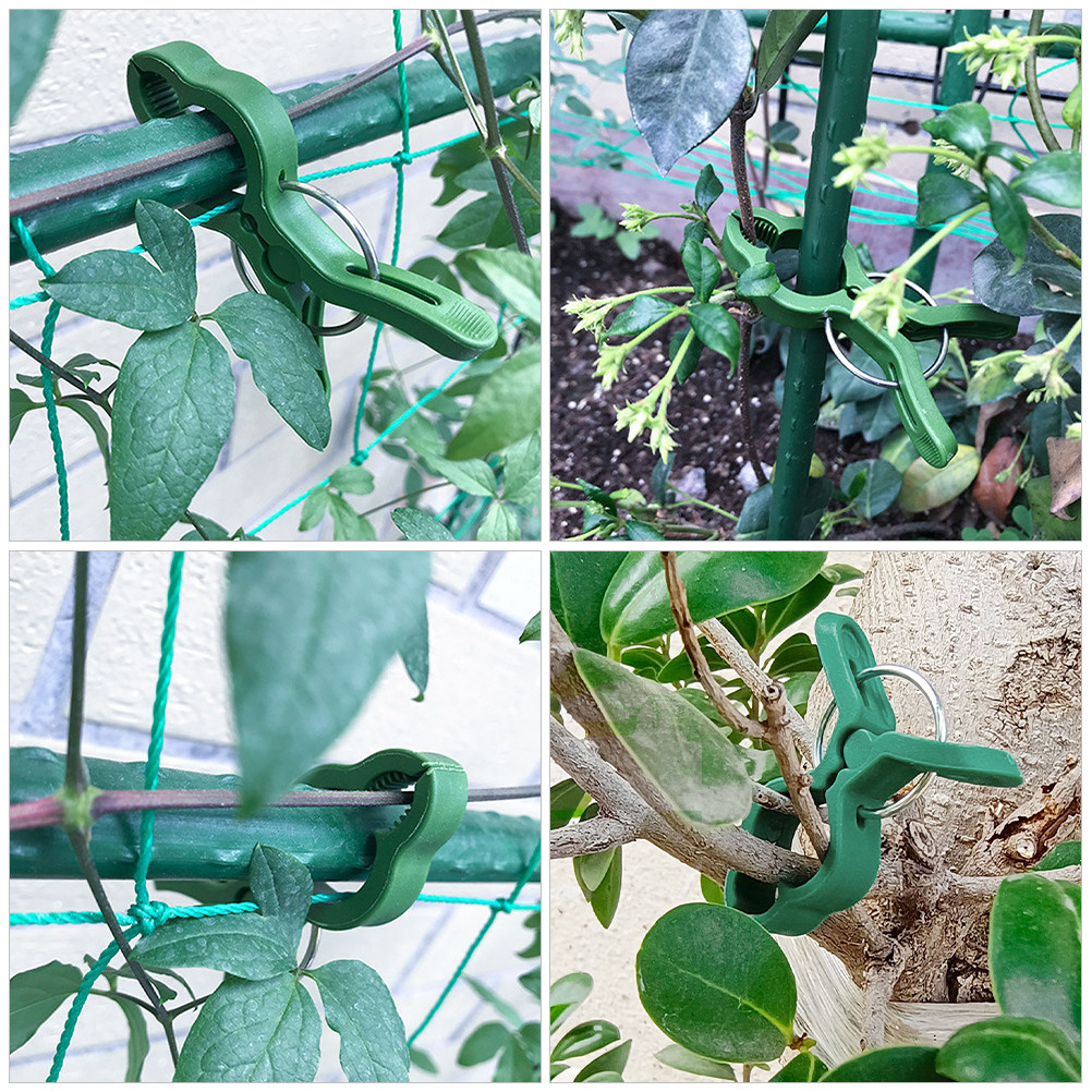 60Pcs Garden Plant Clips Plast - Vine Climbing Plastic ulasan dan harga